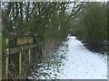 Snowy Railway Walk in WV4 4XS