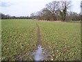 Footpath to New Road, Penshurst in TN11 8DY