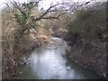 River Medway near Swaylands Farm bridge in TN11 8DY
