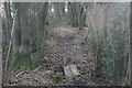 Small wooden footbridge, Vanguard Way, Spanden Wood in RH18 5NN