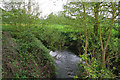 Thurlaston Brook at Stony Bridge in LE9 3HD
