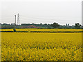 Farmland near Thurlaston, Leicestershire in LE9 7TY
