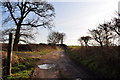 Sisland Carr access road in NR14 6EE