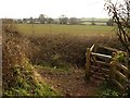 Footpath junction below Durleigh Road in TA6 7NL