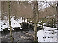 The First Footbridge, Hareshaw Linn Gorge in NE48 2DT