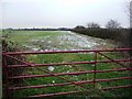Gate into field, on the main road at Snydale in WF7 6ES