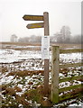 Bridleway signs at Green Brough in DL12 9UB