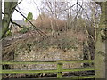 Demolished Railway Bridge for the Border Counties Railway in NE48 2DY