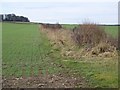 Arable land near Winterborne Tomson in DT11 9EY