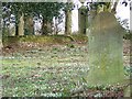 Graveyard, St Michael's Church in DT11 9EZ