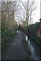 Footpath between the streams in East Hagbourne