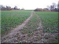 Footpath to Broadfield in TN11 9AX