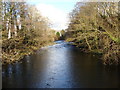 River Aman looking upstream from the road bridge in SA18 2LU