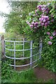 Gate and lilac tree in NG20 0TA