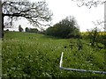 Line of Brook to Engine Pond in Castle Ashby