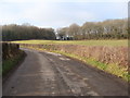 Bend in the road, near Pwllmeyric in NP16 6JX