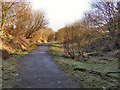 Disused railway at Bradley Fold in M26 4WQ