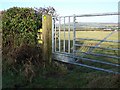 Gate, Cucklington in BA9 9QY
