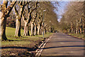 Avenue beside Home Park football ground - Plymouth in PL2 3PX