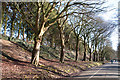 Avenue in Central Park - Plymouth in PL2 3PX