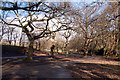 Central Park - Plymouth in PL2 3PX