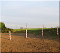 Bollards and poles east of Acle Road in Beighton
