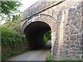 Railway bridge near Cheston in TQ10 9HF
