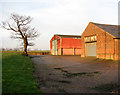 Sheds by Lower Green Farm in late afternoon sunshine in Freethorpe