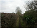 Battramsley, footpath in SO41 8NL
