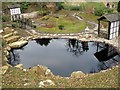 Kingston Lacy Japanese Garden in BH21 4EG