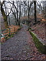 Footpath in Healey Dell in OL12 8TJ