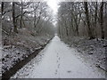 Footpath on the former Rochdale to Bacup Railway in OL12 8TJ