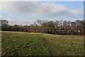 Footpath across a field north of Boyle's Farm in RH19 4NF