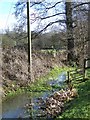 Stream, Rimpton in BA22 8FG