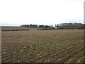Ploughed fields by the Fosse Way in CV31 1TX