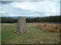 Trig point on Parishholm Hill in ML11 0SJ