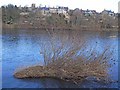 Looking across the Tyne to Corbridge in NE45 5AU