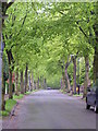 Leafy suburban street in S10 4GF