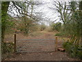 Footpath and forest track in GL15 5JW