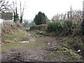 Muddy path at Taleford in EX11 1NJ