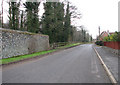 Approaching Bridgham on East Harling Road in Harling & Heathlands Ward