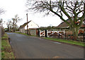 The road from Bridham to East Harling in NR16 2SP