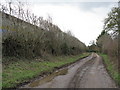 Muddy Lane At Upton Court in SY8 4AU