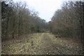 Footpath into Marwick's Wood in TN3 8EX