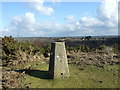 Trig Point  near Crooked Withies in BH21 7LB