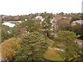 Bournemouth Gardens: a view from above in BH2 5QS