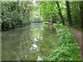 The Basingstoke Canal, near Dogmersfield in RG27 8ST