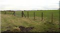 Fields off Blaeberry Hill Road in EH47 8NP