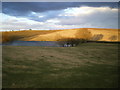Kingstreet Pool from the field above it in TF11 8RZ