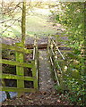 Footbridge over Newsham Beck in DL2 3PN